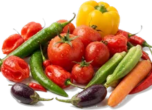 Légumes frais : tomates, piments, gombos, aubergines, carotte et poivron
