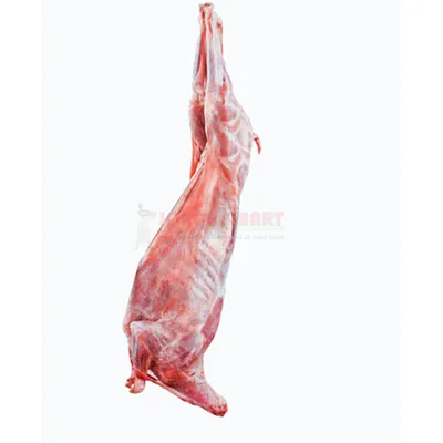 Agneau entier