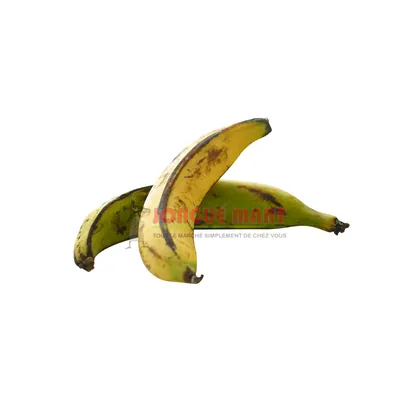 Banane plantain de Côte d'Ivoire