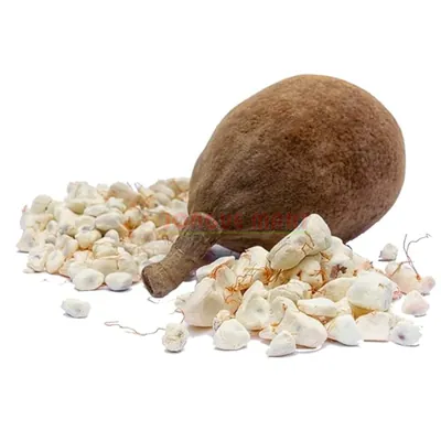 Bouye naturel du Sénégal