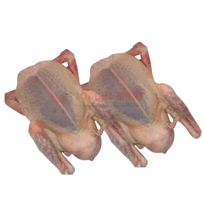 Box de 2 pigeons - viande rouge 100 % naturelle