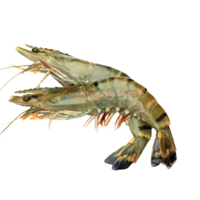 Crevettes entières N° 2