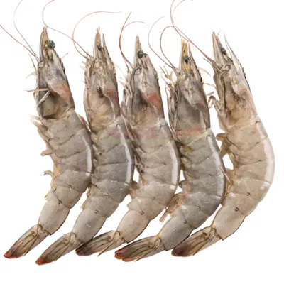 Crevettes entières N° 4