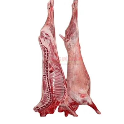 Demi agneau