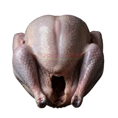 Dinde fermière