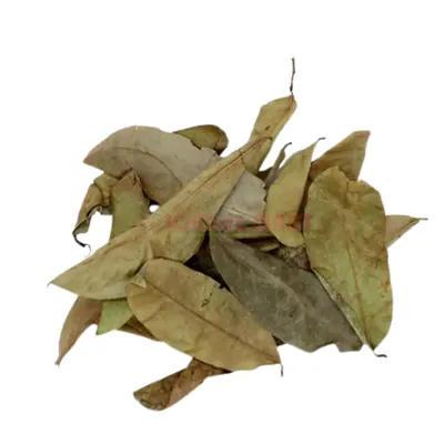Feuilles de corossol