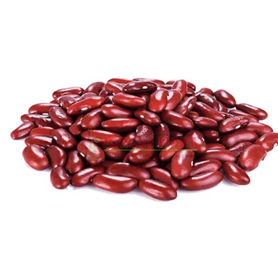 Haricot rouge