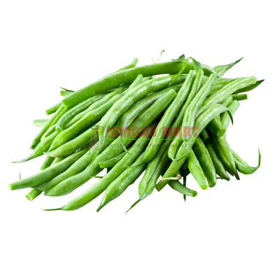 Haricot vert