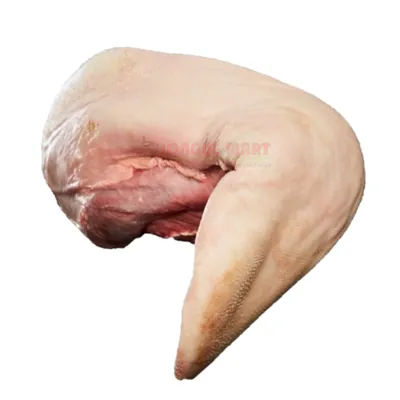 Langue de veau