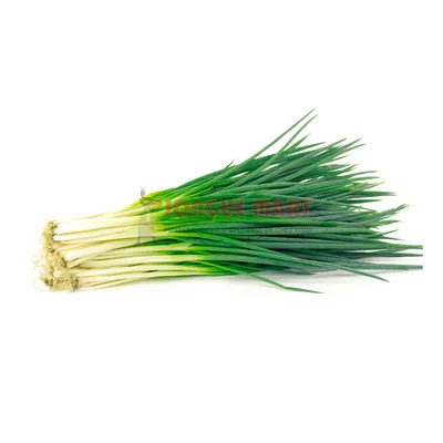 Oignon vert