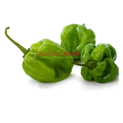 Piment vert