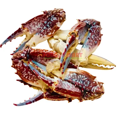 Pinces de crabe