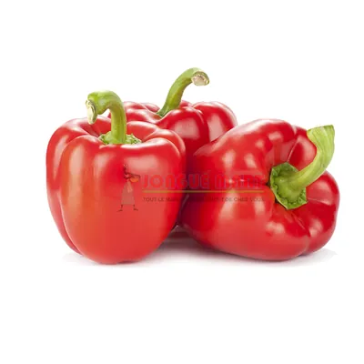 Poivron rouge