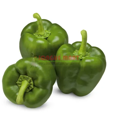 Poivron vert