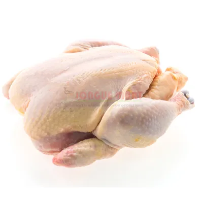 Poulet de chair 1,4 - 1,6 kg