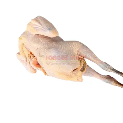 Poulet du pays