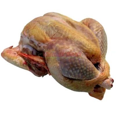 Poulet fermier