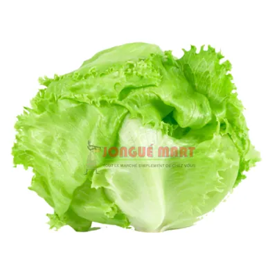 Salade laitue