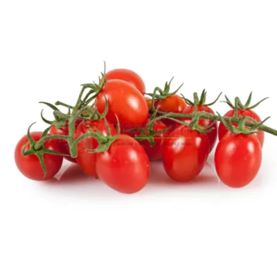Tomate cerise