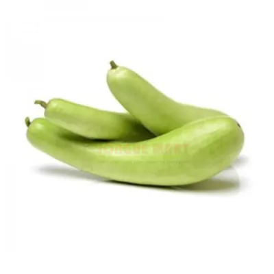 Yomb - courge gourde